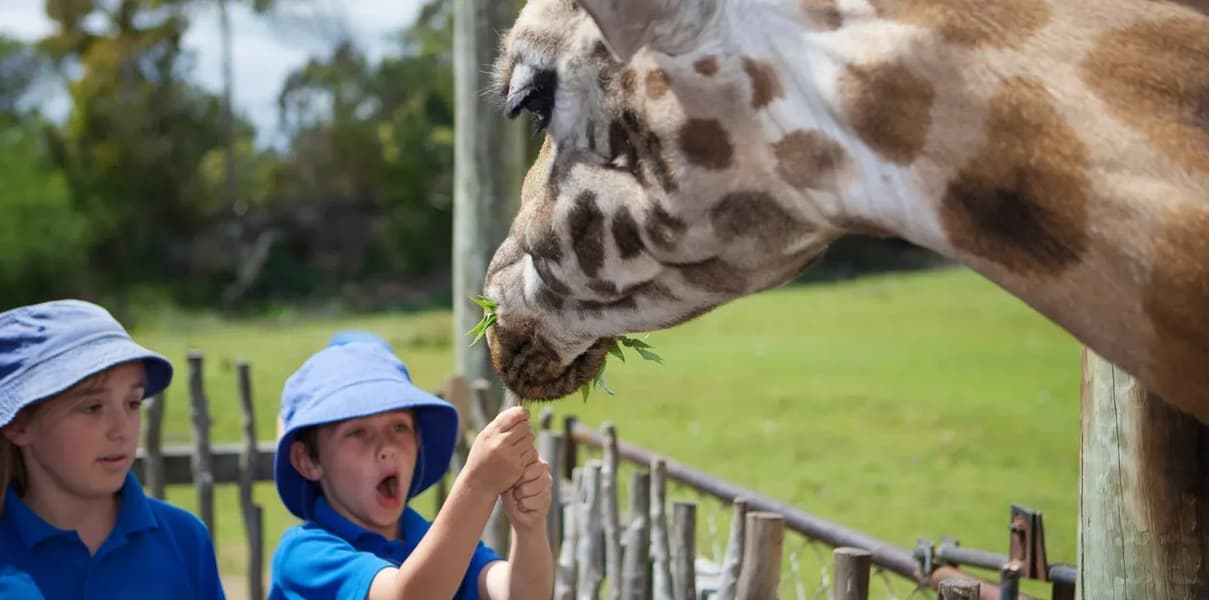 Orana Wildlife Park Tickets Image