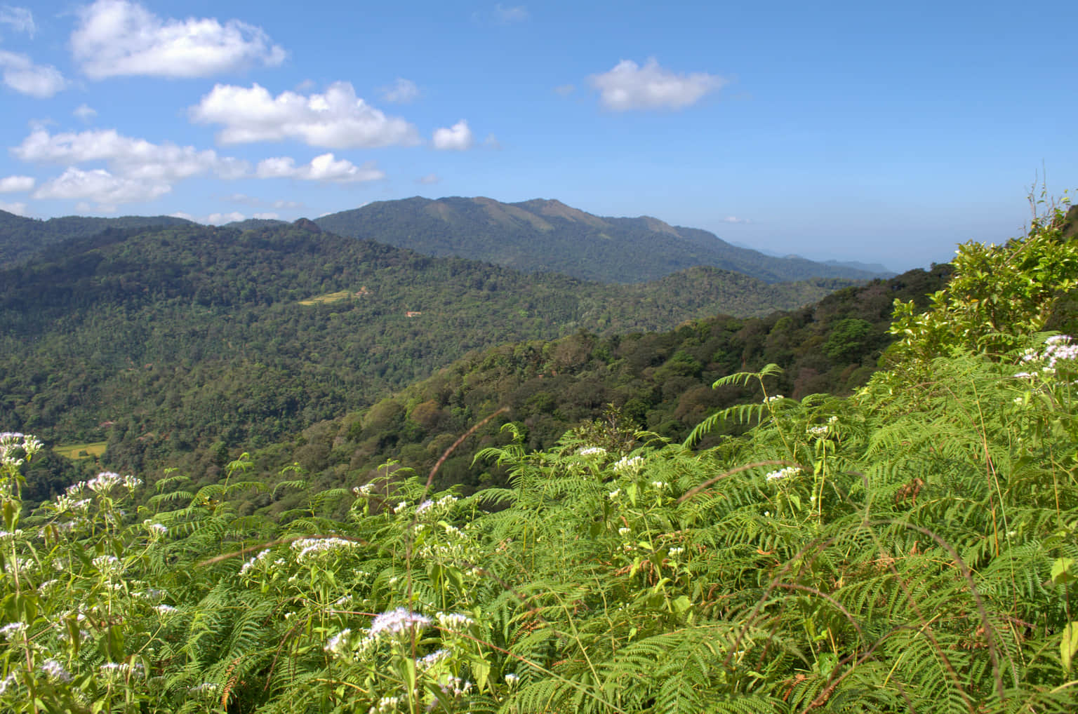 Photo from Deeptendu Pandey's trip