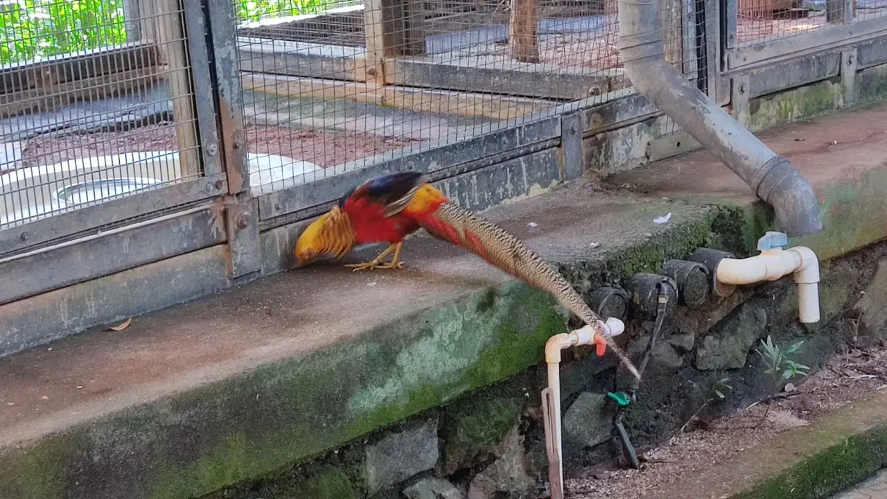 Photo from Amol Hodge's trip