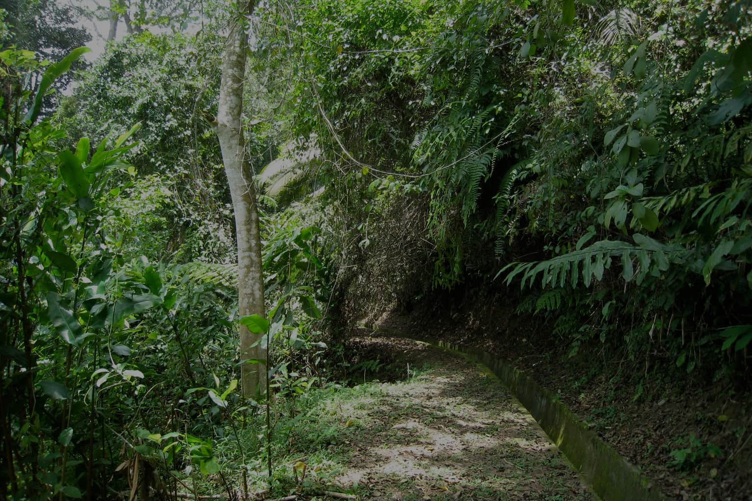 The Habitat Penang Hill, <em>Penang</em>