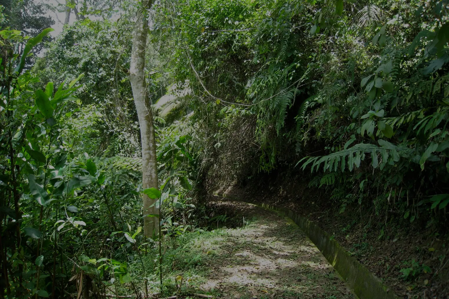 The Habitat Penang Hill
