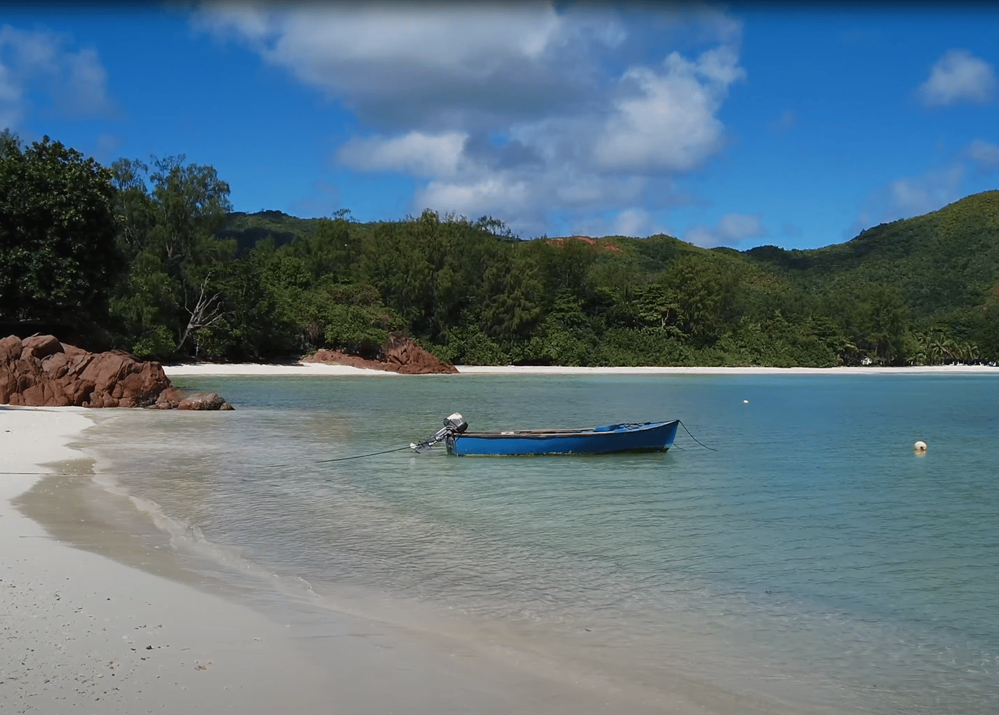 Photo from Violet Powell's trip