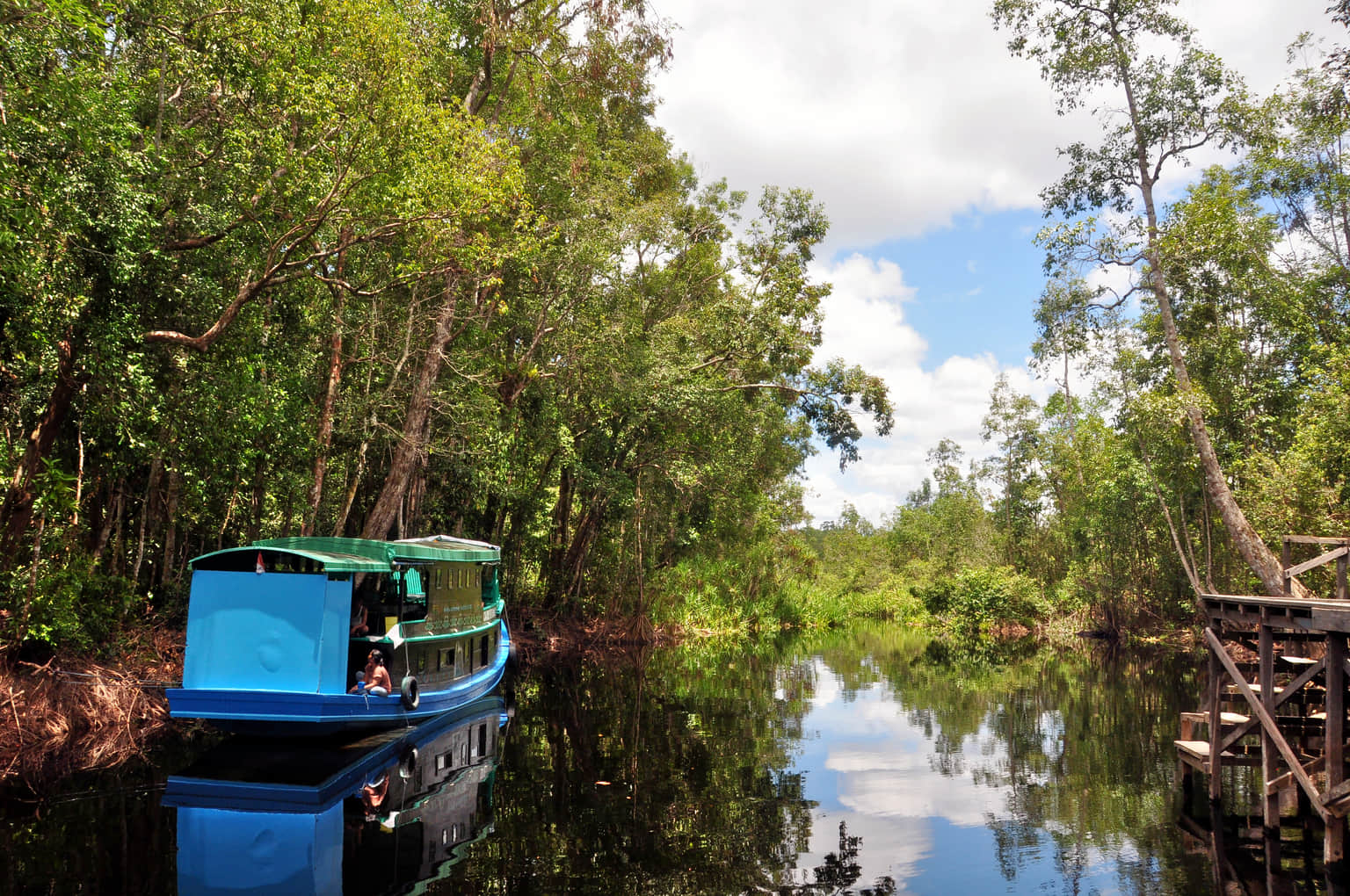 Tanjung Puting National Park