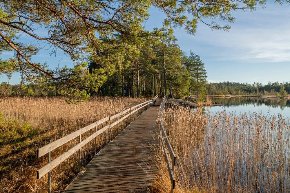 Hiking in National Park