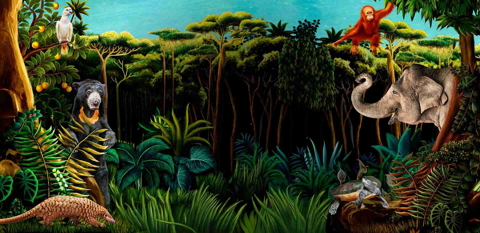 Plan Your Visit to Bird Paradise How to Reach And Timings