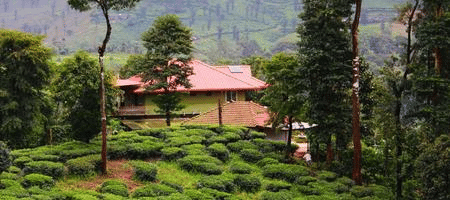 Bella Homestay, Kudremukh Image