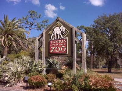 Visit the ZooTampa & Florida Aquarium with your loved ones