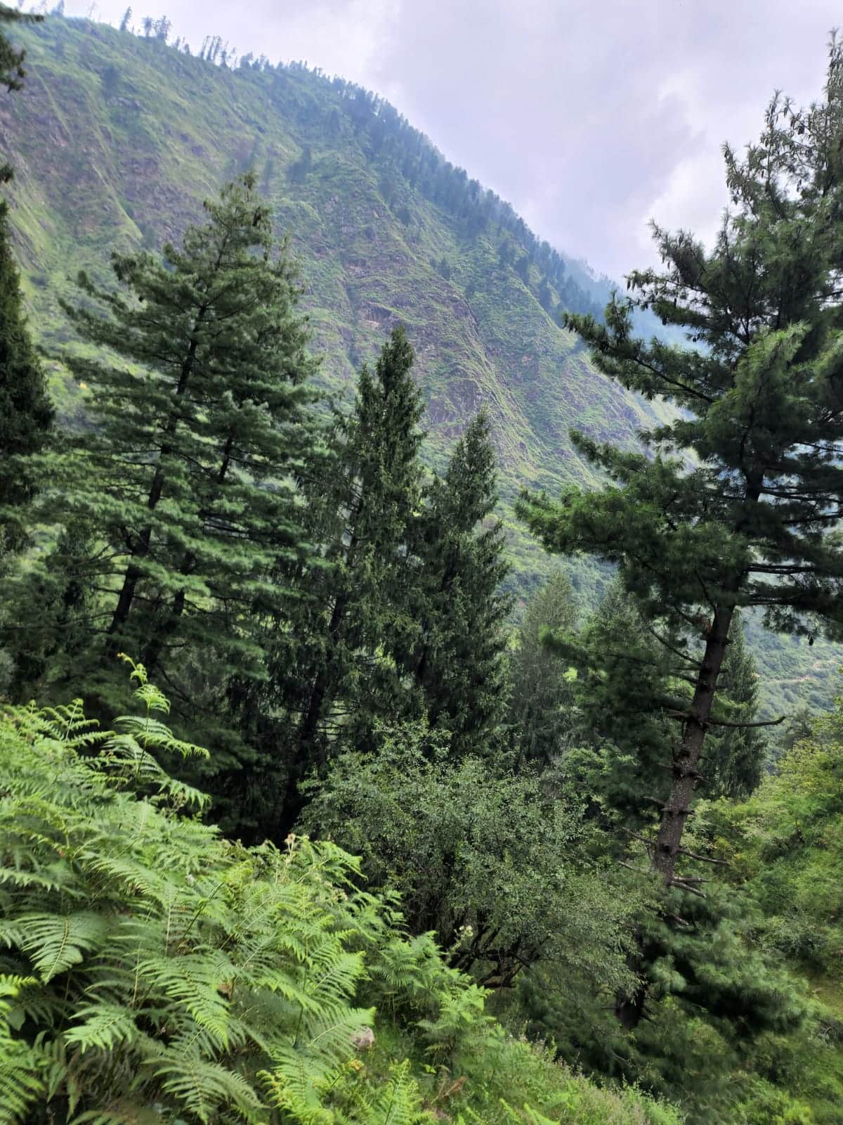 Photo from Monicaa  sharen 's trip