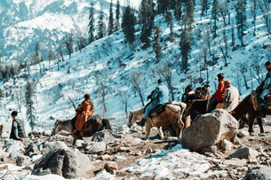 Ivrhmw7qar01o8df15v2serp8aps wtoshgofezxvmtqu8sh8y69zeizy shutterstock 1950543694