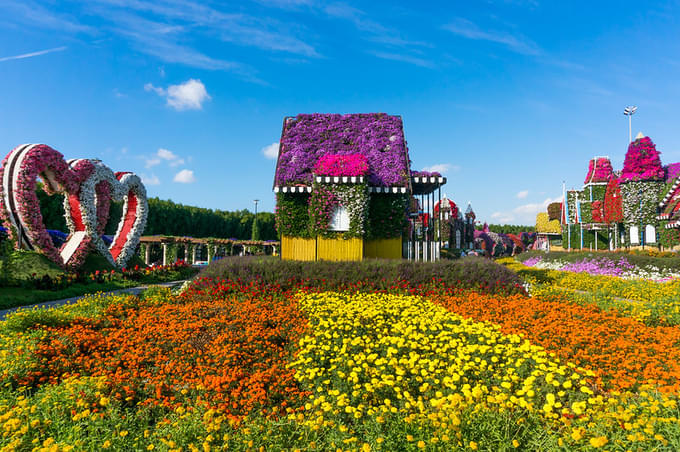 Dubai Butterfly Garden