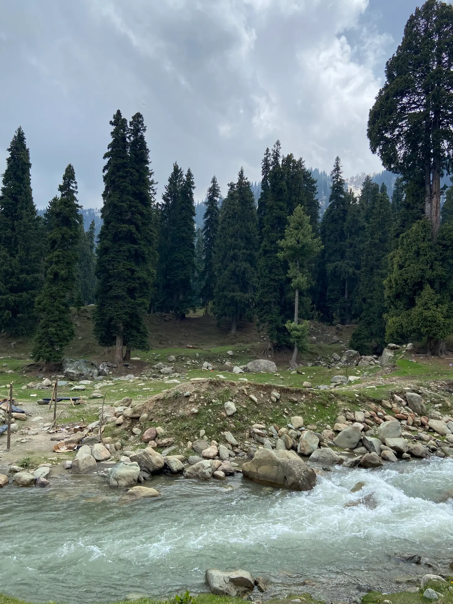 Photo from Deekshita  Sakhamuri's trip