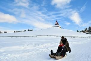 Let the soft snow beneath your sledge transport you to a serene winter paradise in the heart of Gulmarg
