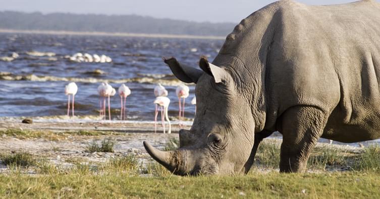 Lake Nakuru National Park