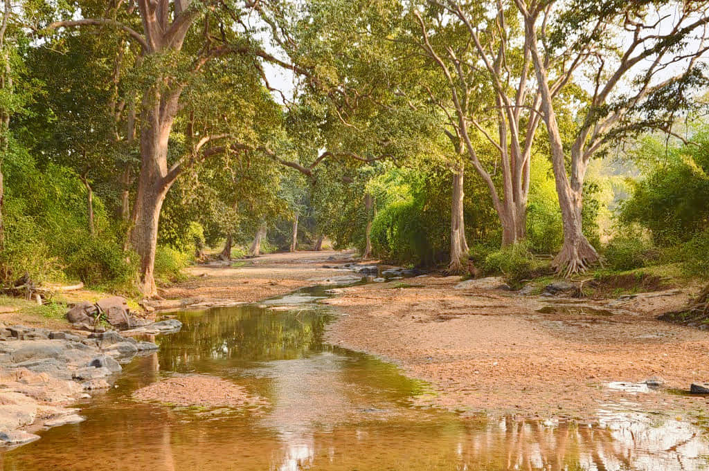Tikarpada Wildlife Sanctuary