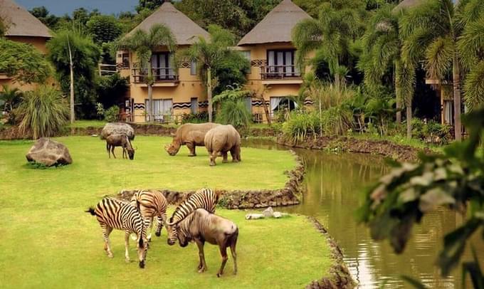 Mara River Safari Lodge