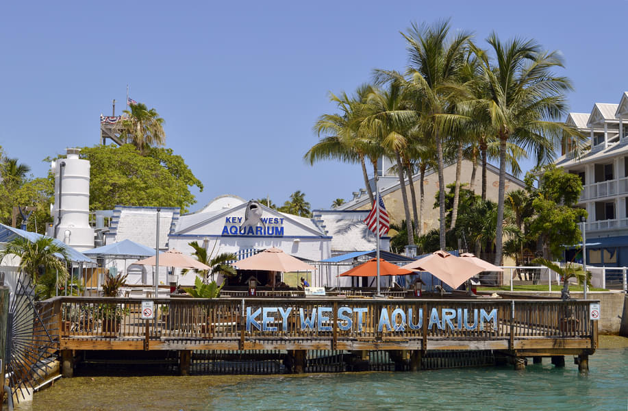 Visit the Key West Aquarium, one of the oldest aquariums of Florida
