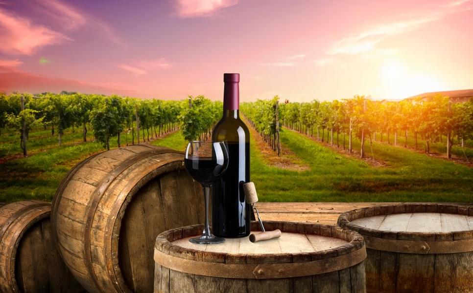 Chianti Wineries with Wine Expert