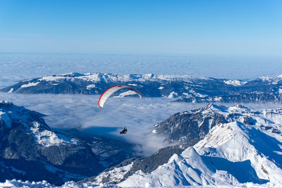 Paragliding or Skydiving