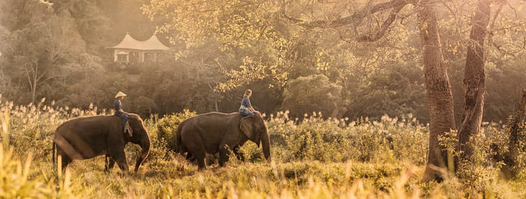 Four Seasons Golden Triangle Tented Camp