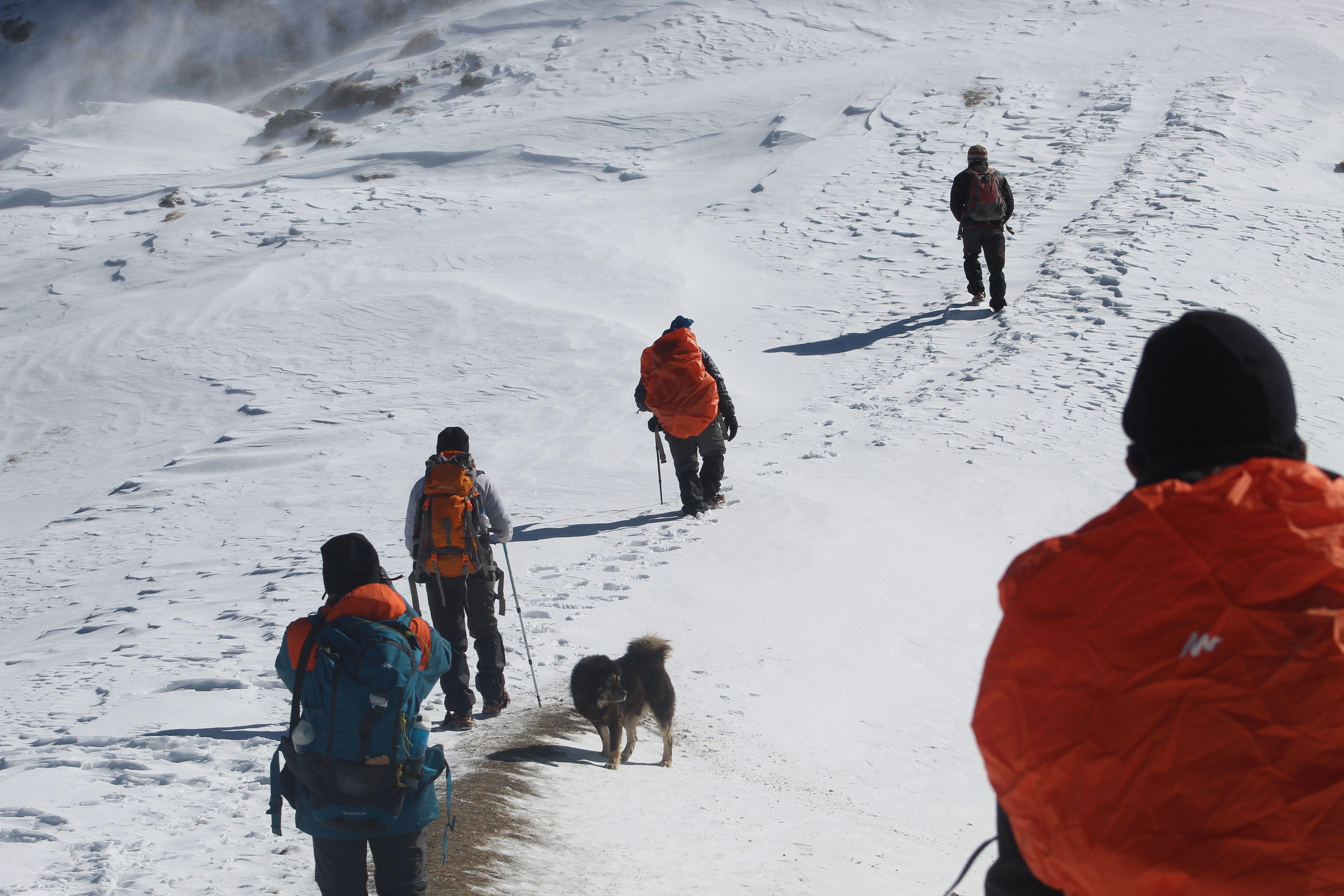 brahmatal trek