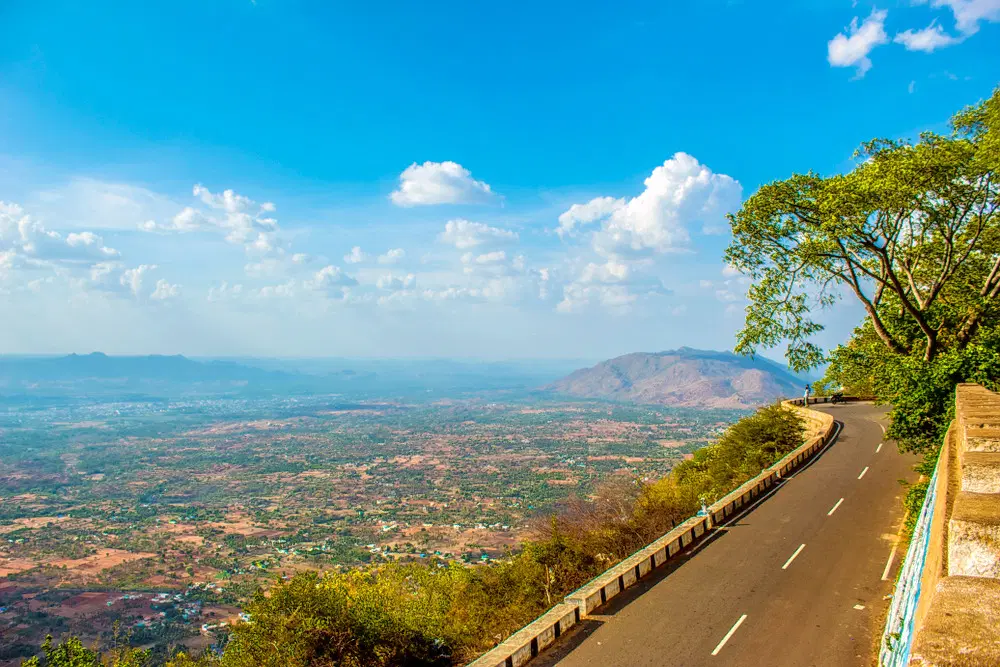 Yelagiri Forest Hill