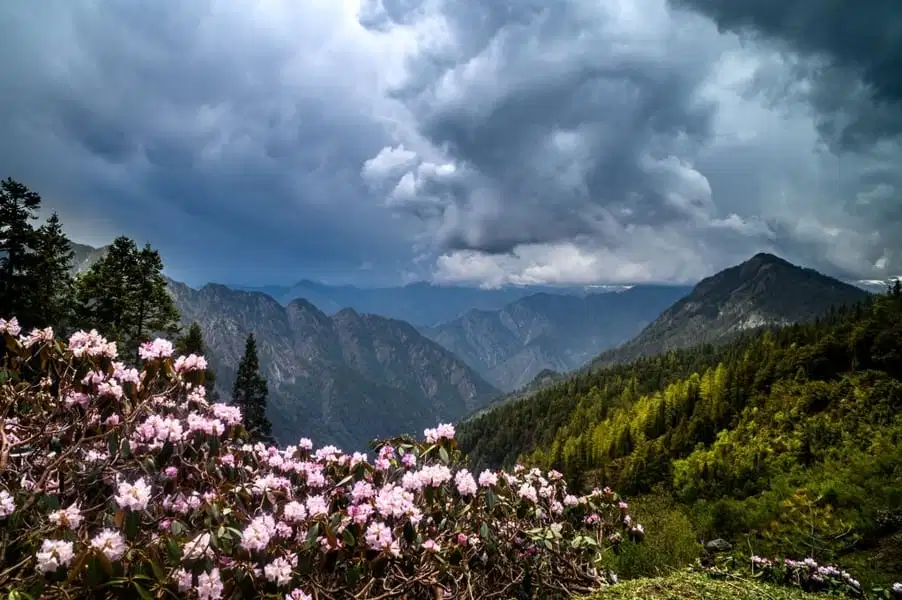 Shimla and Manali Tour from New Delhi | FREE River rafting