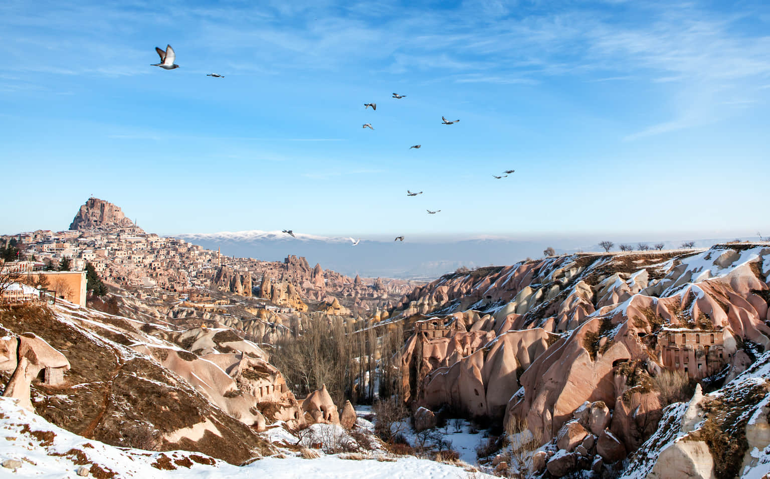 Pigeon Valley