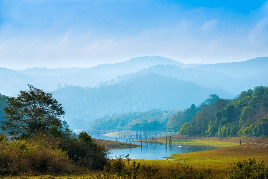 Munnar and Thekkady Tour Package Image