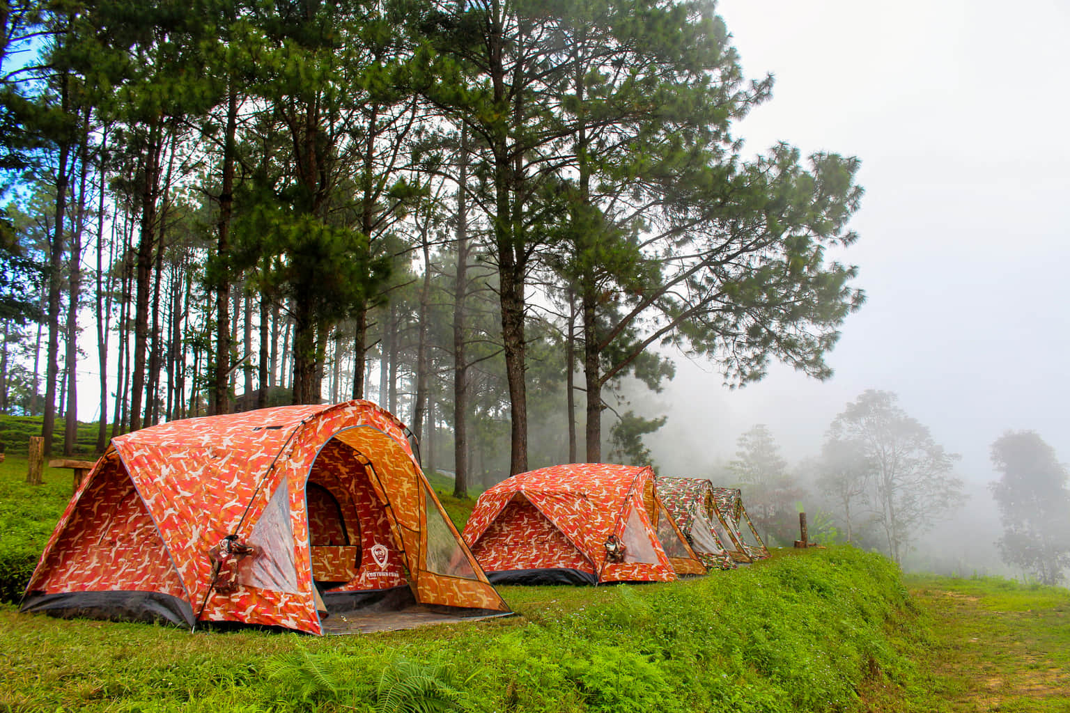 Kasol, <em>Manali</em>