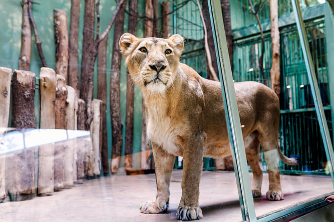 Zoos In Paris