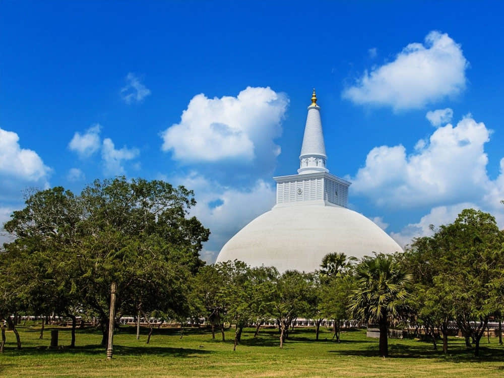 Sacred City of Anuradhapura