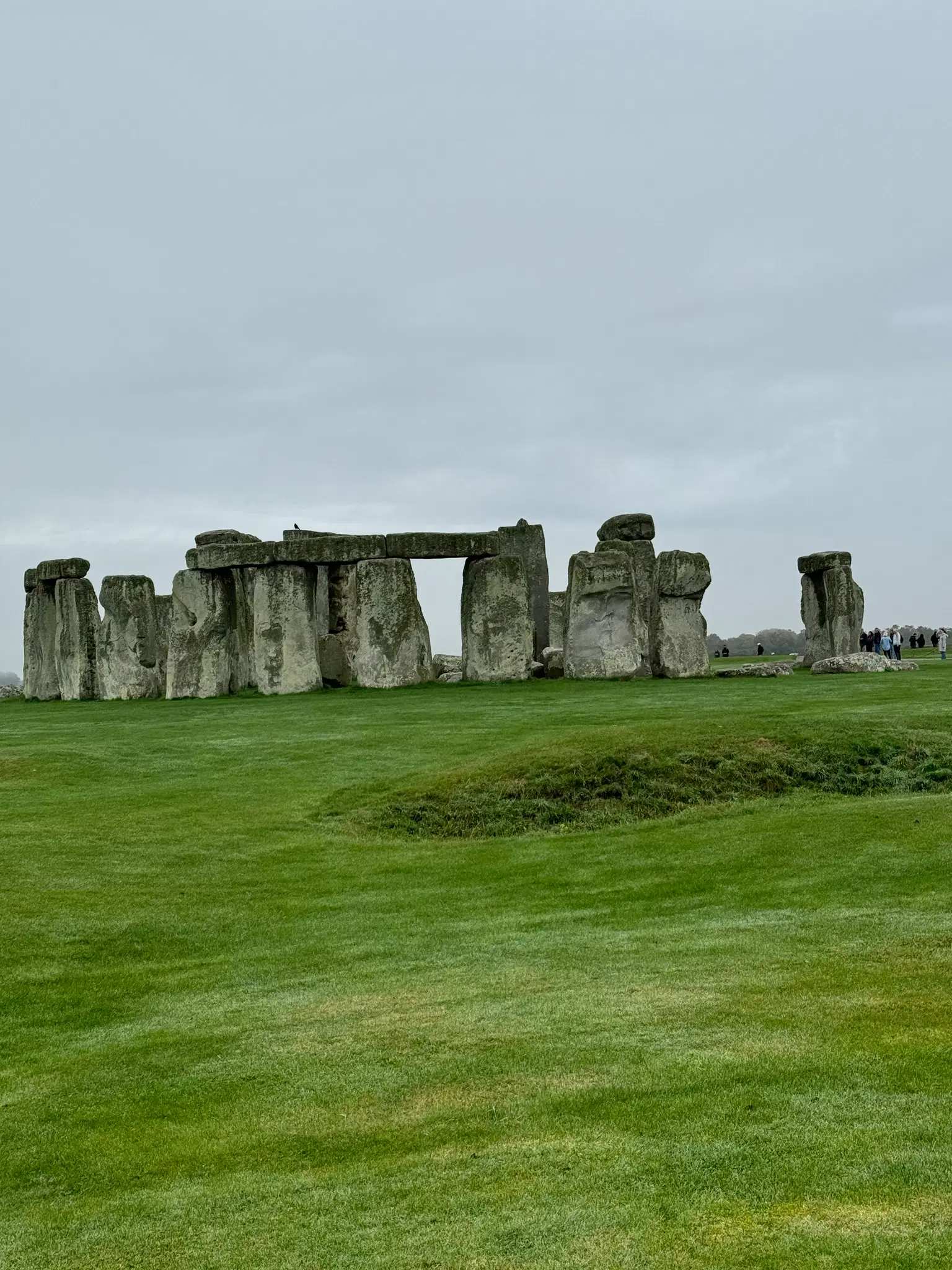 Photo from Gregory A.'s trip