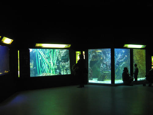 Aquarium of Lyon Overview