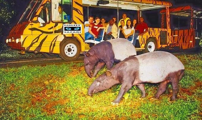 Wild Discoverer Tour in Singapore Zoo