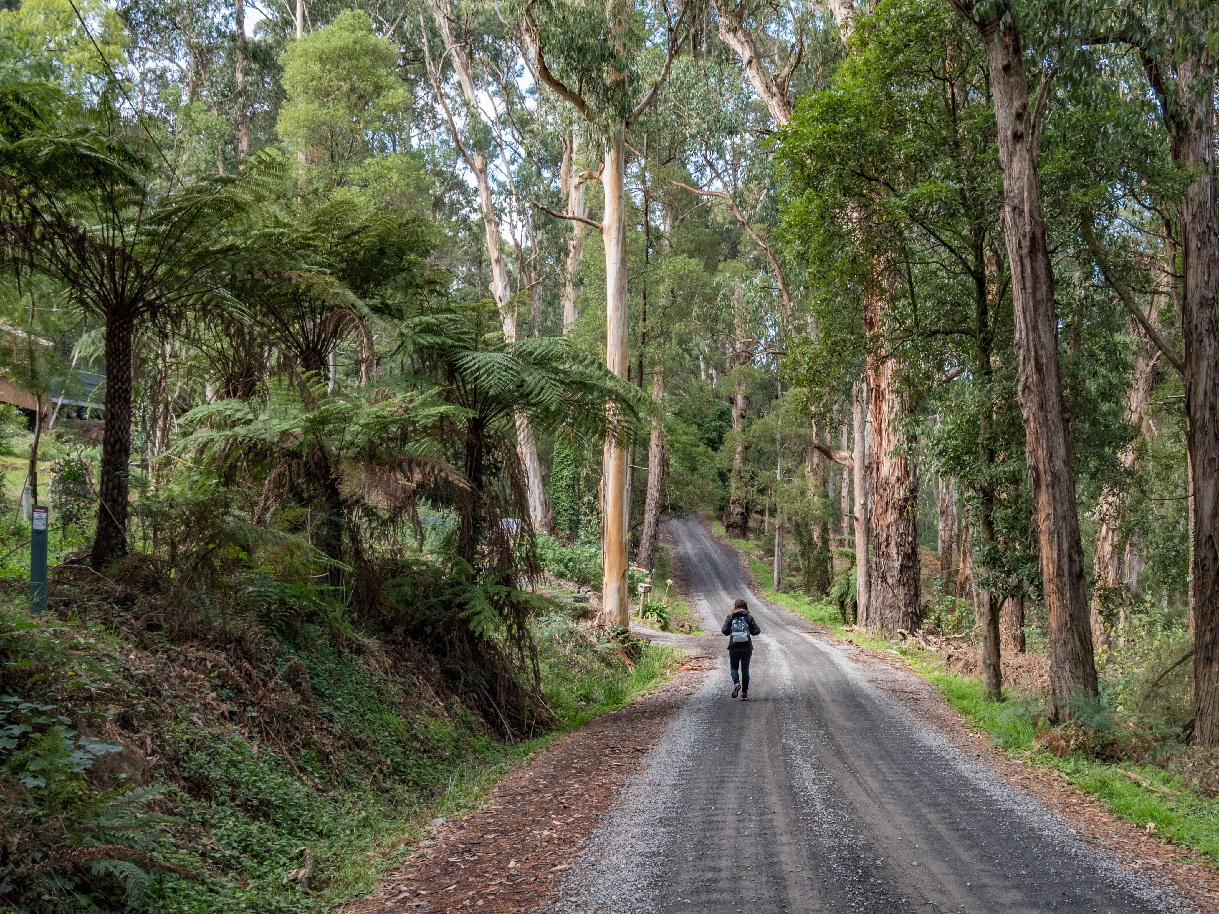 Things To Do In Yarra Valley