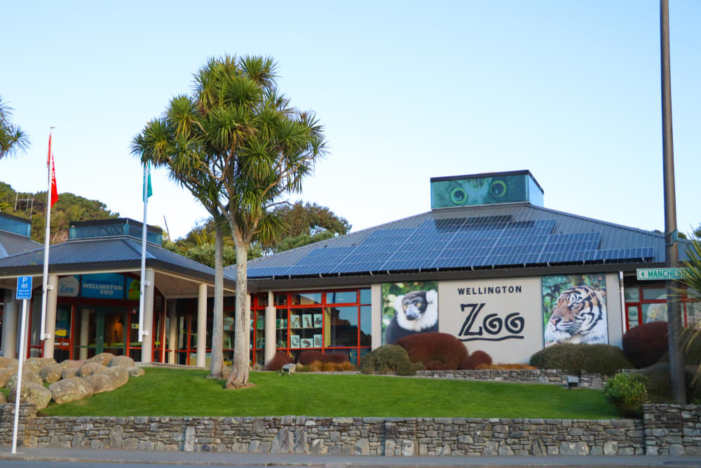 Wellington Zoo Overview