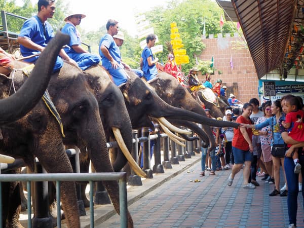 Samphran Elephant Ground and Zoo