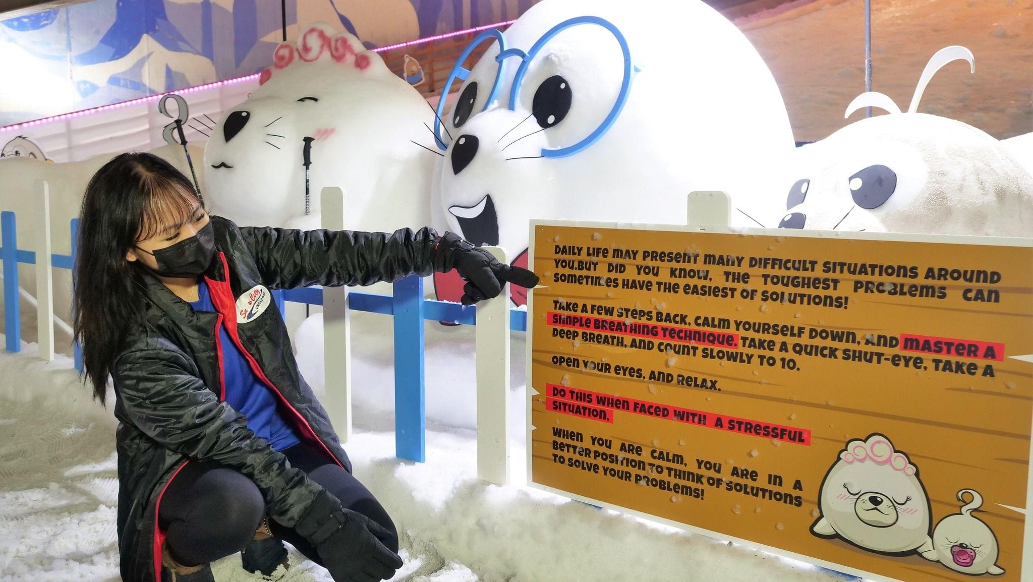 Why to Visit Snow City Singapore