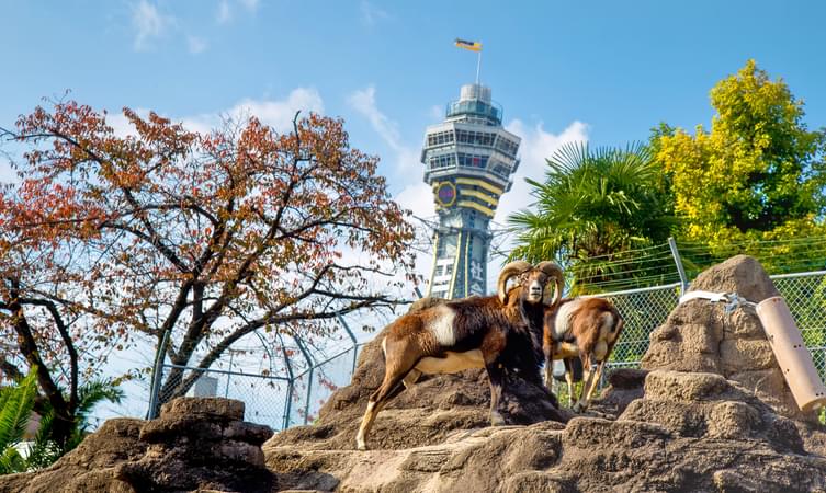 Osaka Tennōji Zoo & Park