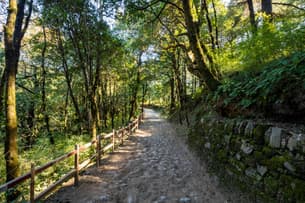 J114jp91uxyxisk4qkjog4btm2rk shutterstock 2276261133