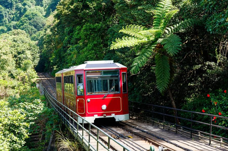 Peak Tram Sky Pass with Sky Terrace 428 Tickets  Image