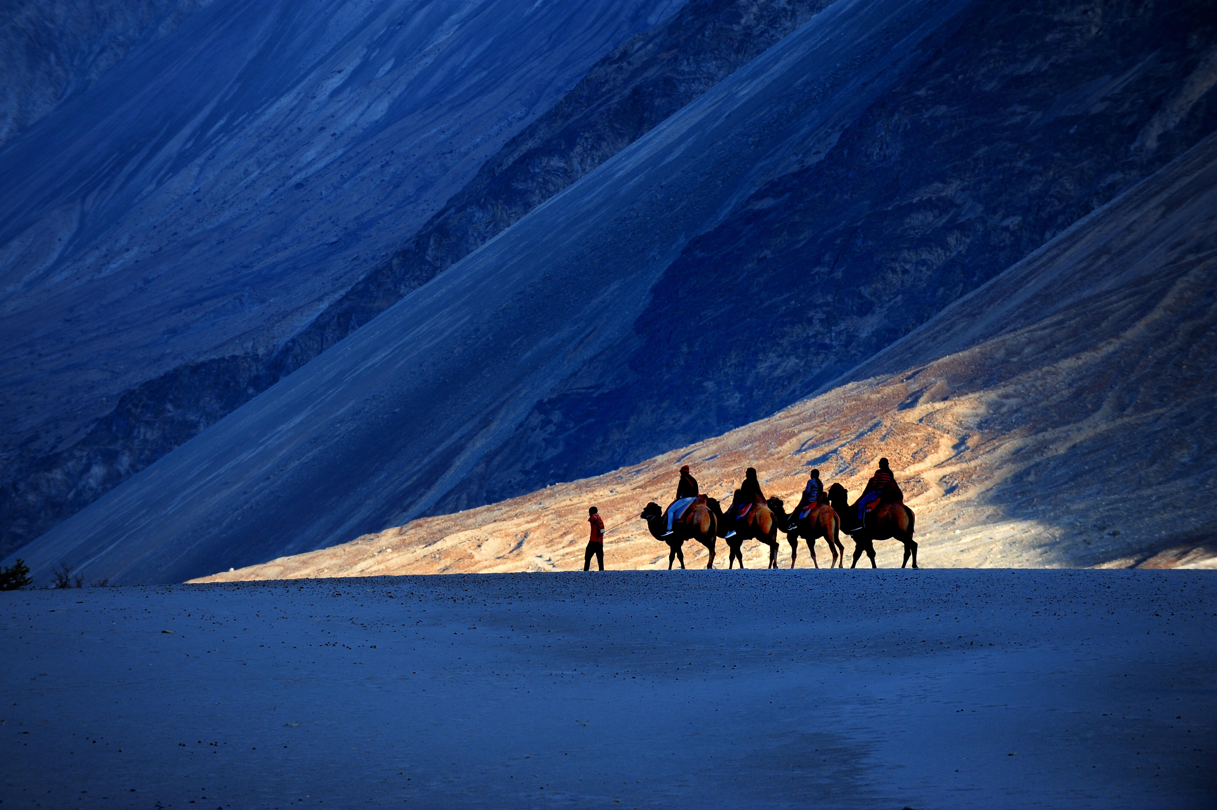 Nubra Valley Tour Packages | Upto 40% Off