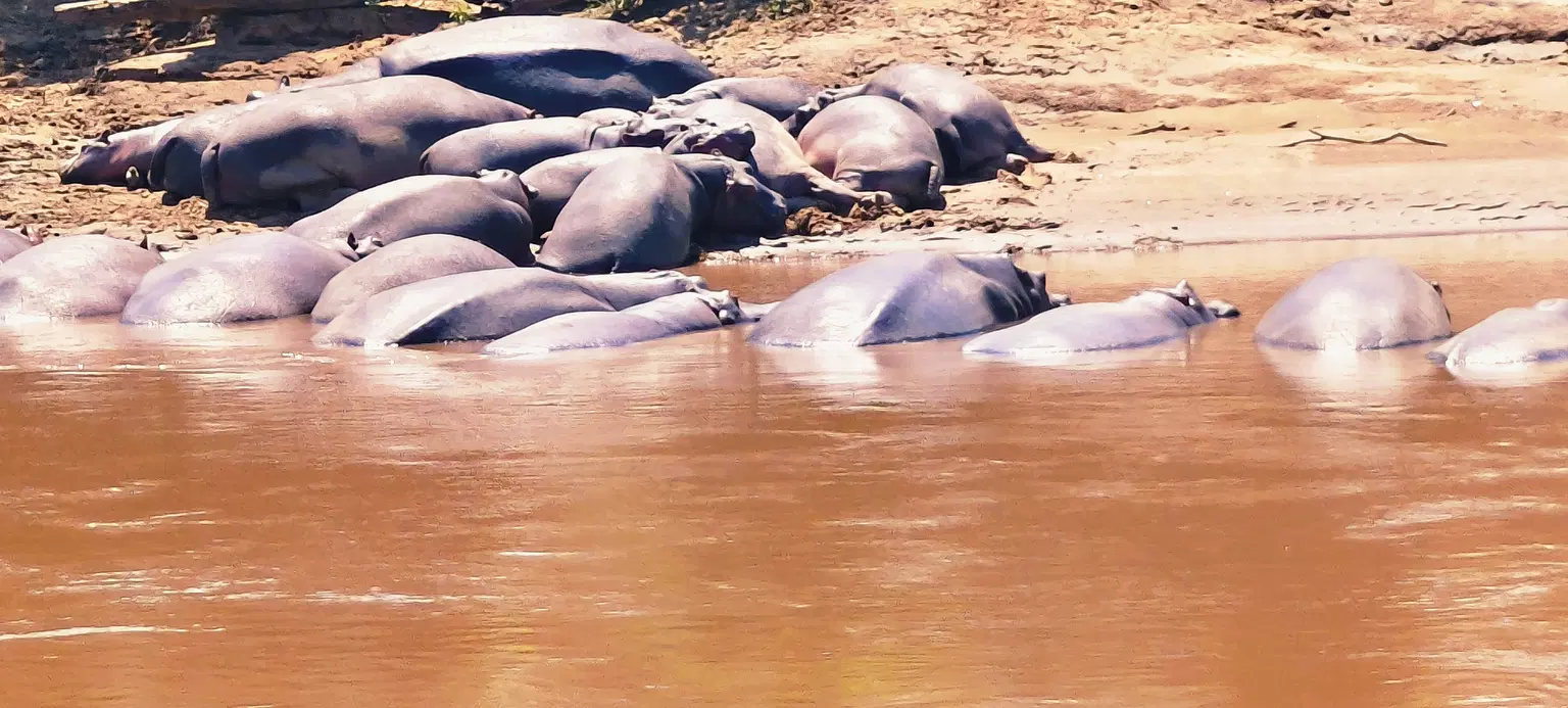 Photo from Avikal Mathur's trip