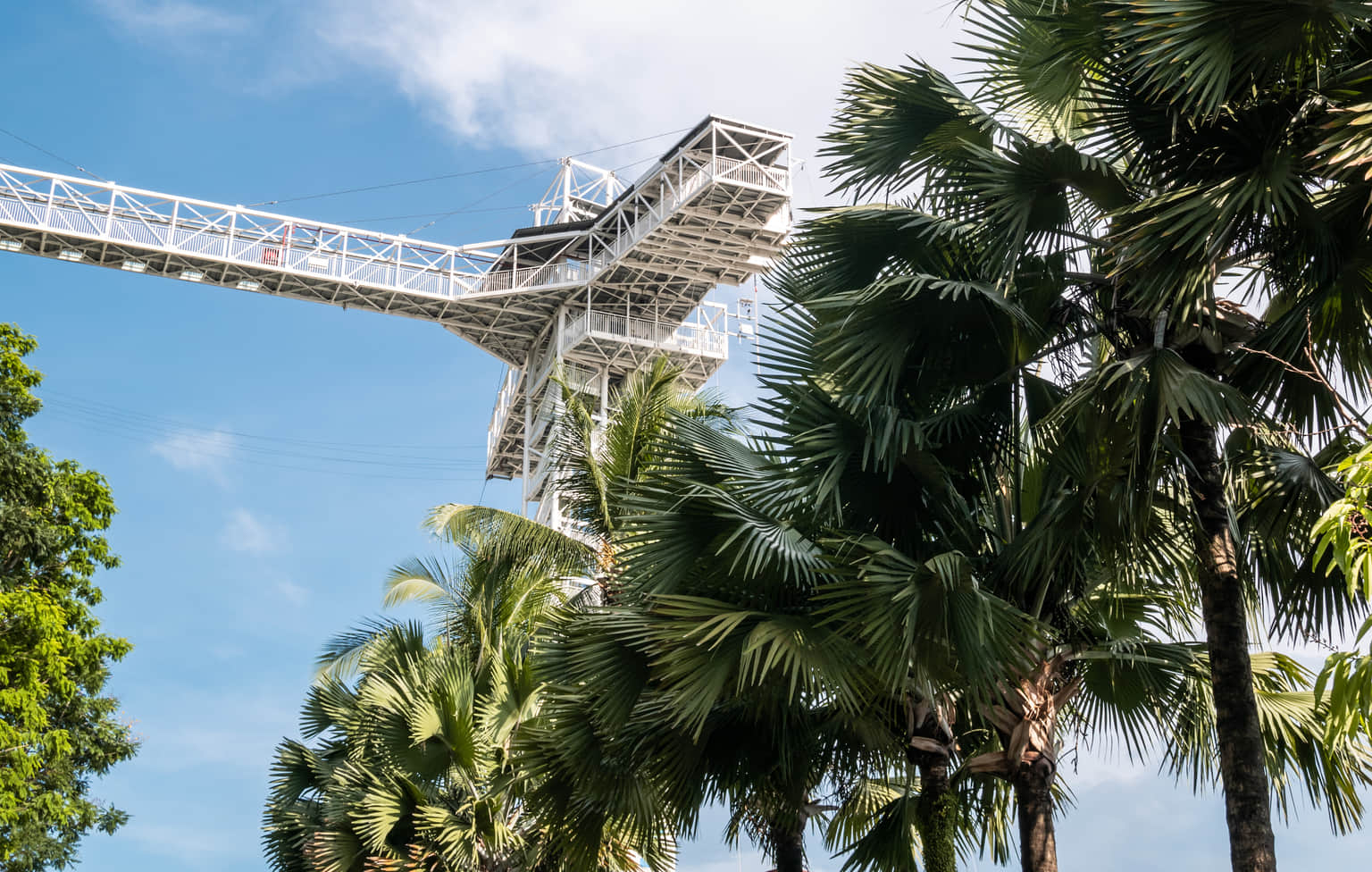 Slingshot, <em>Singapore</em>