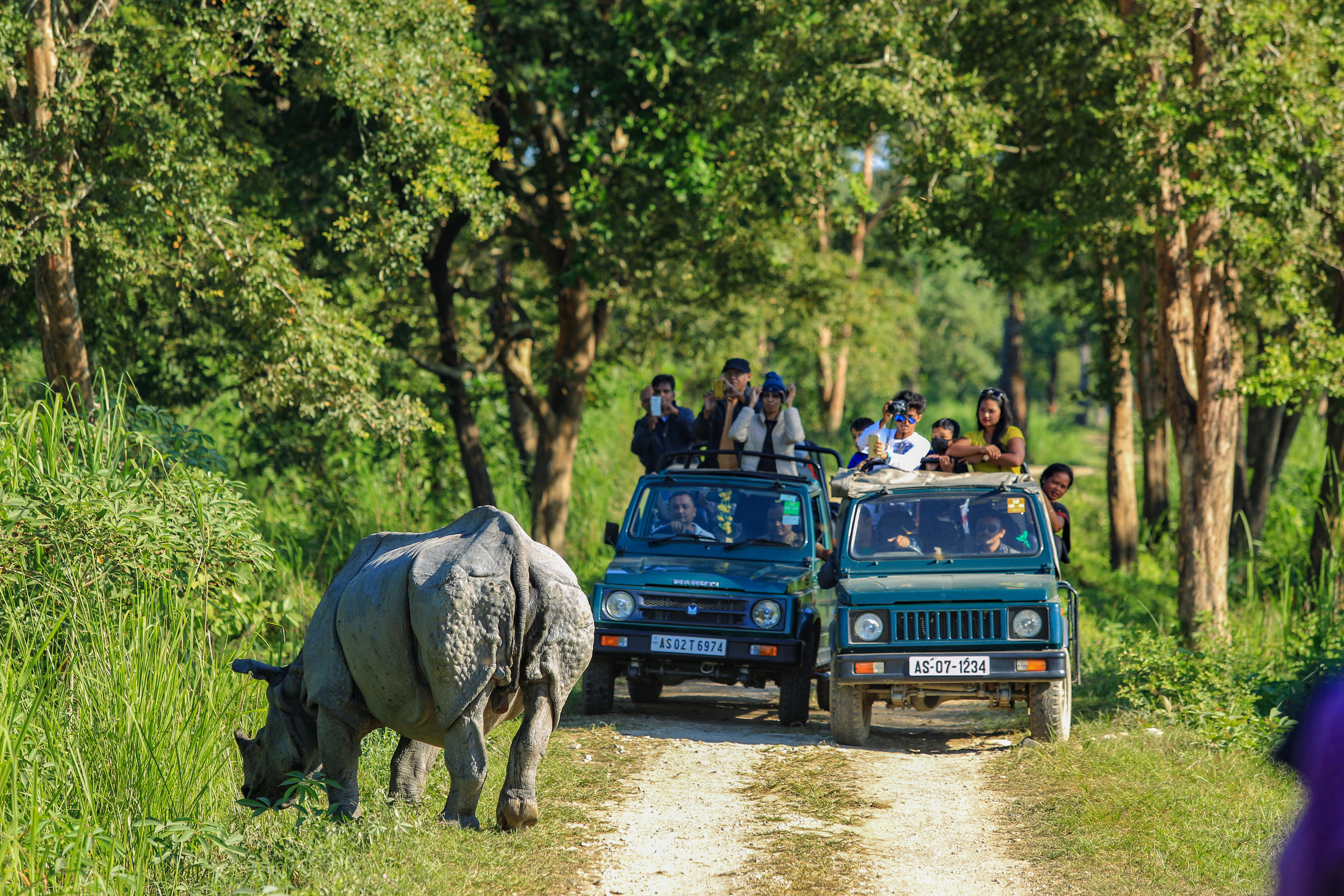 Kaziranga Tour Packages | Upto 40% Off