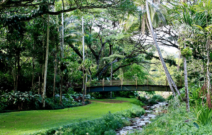 McBryde & Allerton Garden