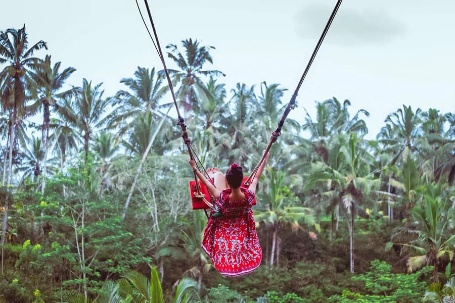 Why To Book Bali Swing Tickets?