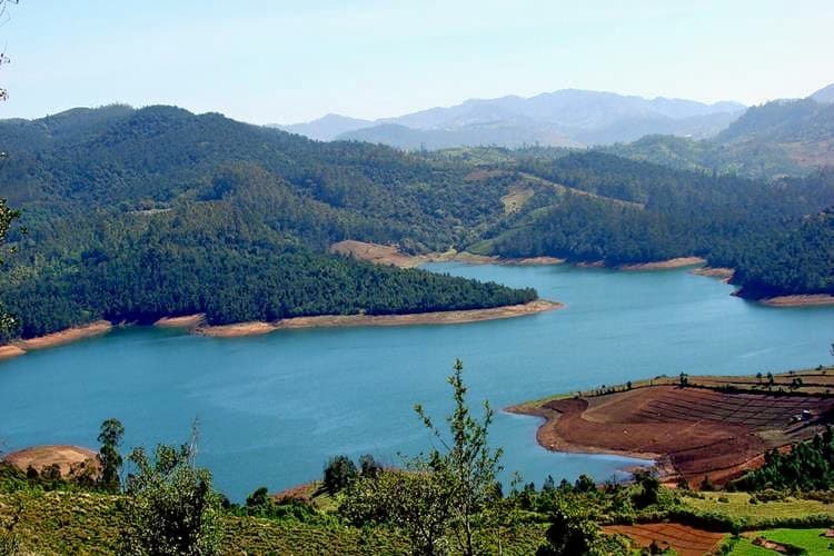 Parsons Trek, Ooty Image