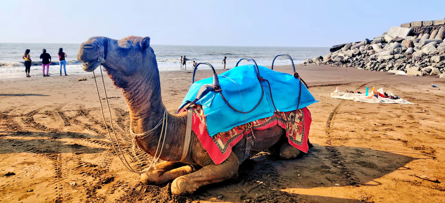 Suvali Beach