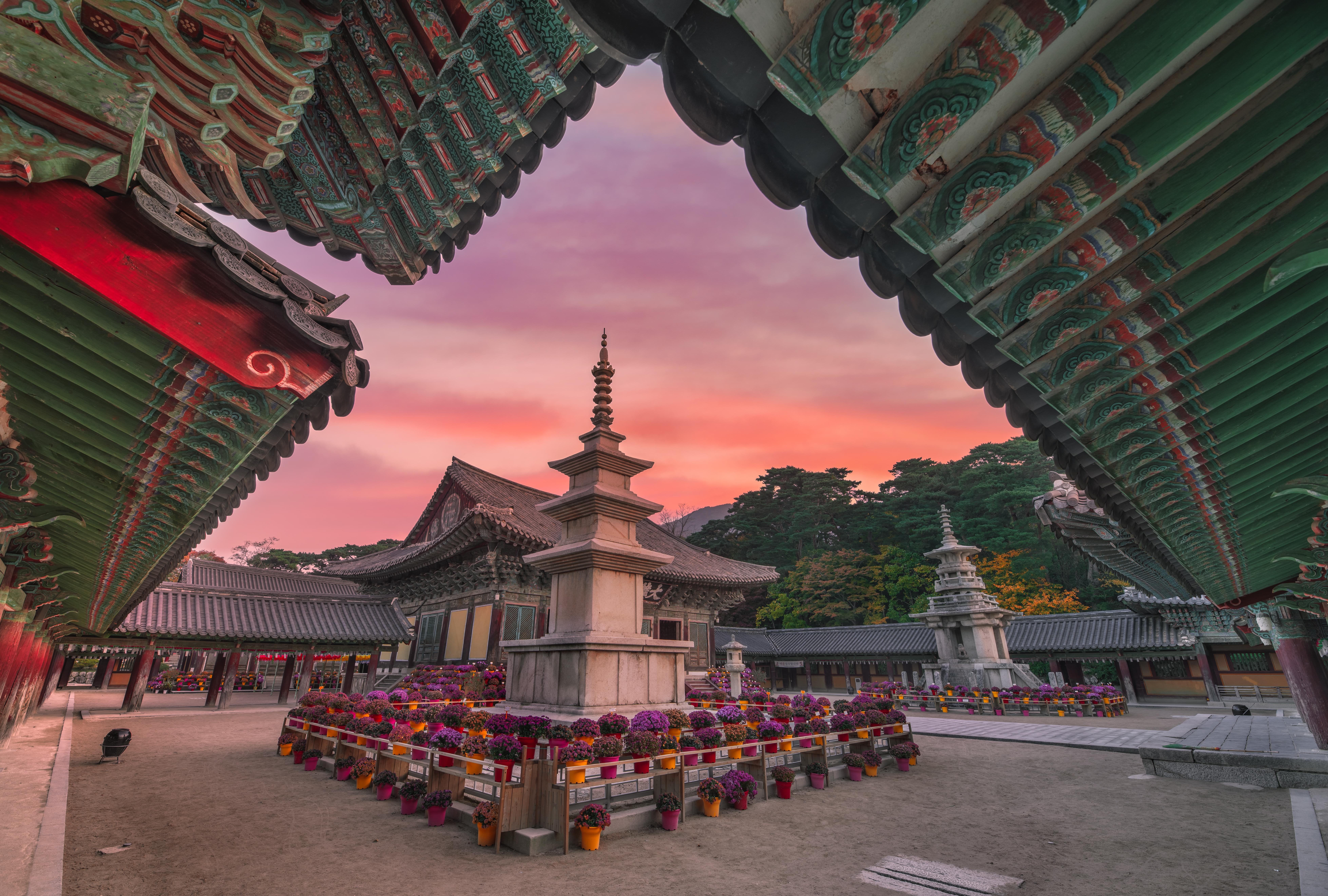 South Korea Packages from Bangalore | Get Upto 50% Off